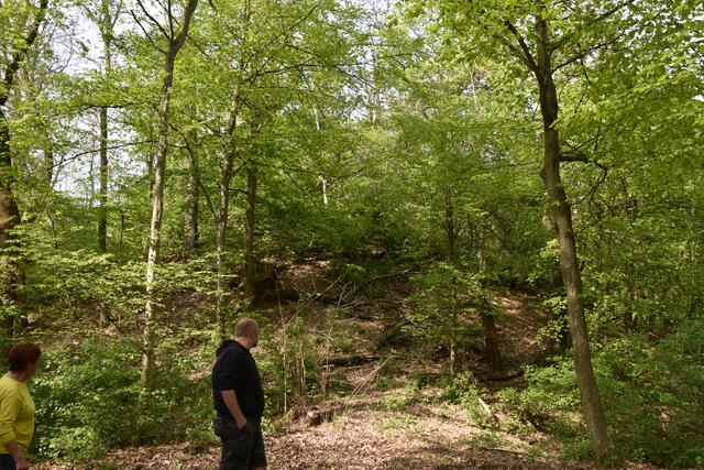 Foto: Michael Strini