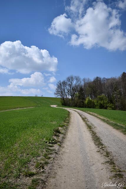 Schön das man so viel abseits gehen kann   | Foto: Gabriele P.