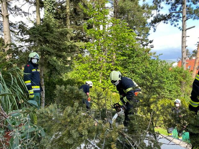Foto: Feuerwehr Klosterneuburg