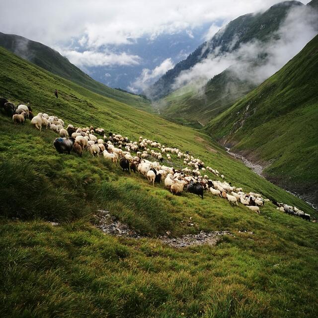 Foto: Gerhard Köhle