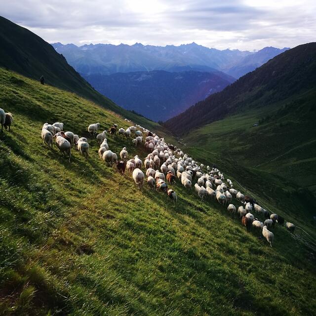 Foto: Gerhard Köhle