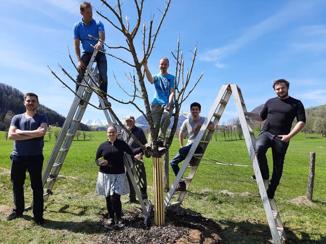 Roßleithens Jugendliche lernten, wie man Obstbäume richtig schneidet und veredelt. | Foto: Philip Pawluk
