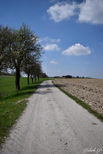 Liebe es abseits zu gehen und es so schön ruhig ist :)  | Foto: Gabriele P. 