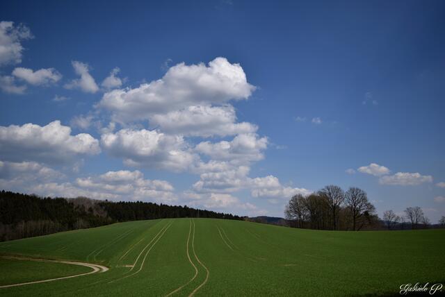 Schöner Sauwald  | Foto: Gabriele P. 