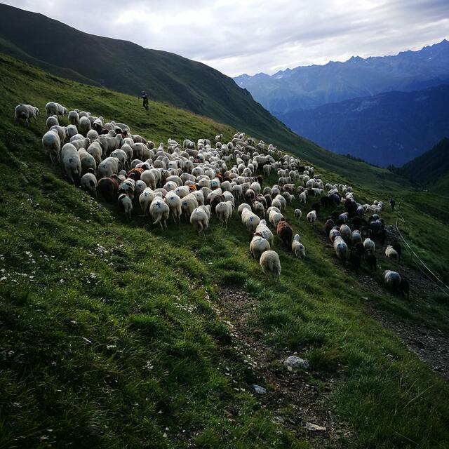 Foto: Gerhard Köhle
