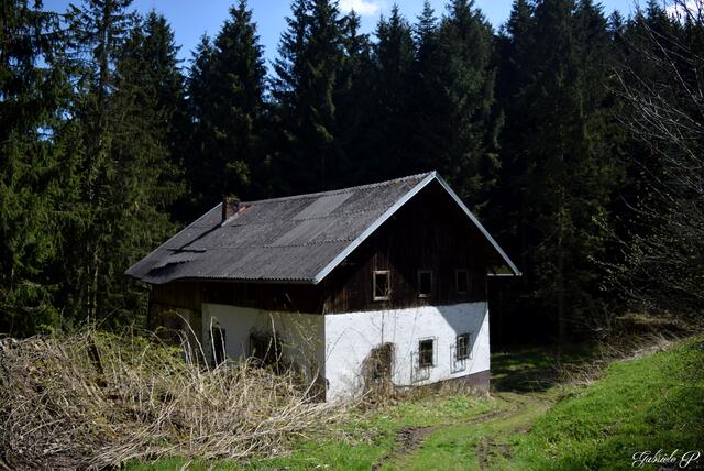 Blick zurück auf den Lost Place / Münzkirchen  | Foto: Gabriele P.