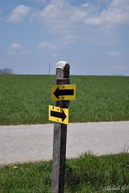 Wegweißer  | Foto: Gabriele P.