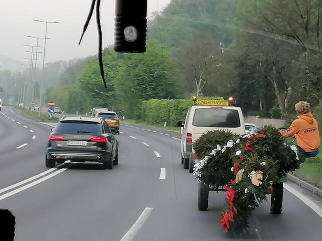 Der Maibaum wurde in den Bezirk Rohrbach transportiert. | Foto: Foto: Mühleder