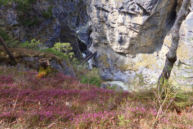 noch einmal..weil so schön