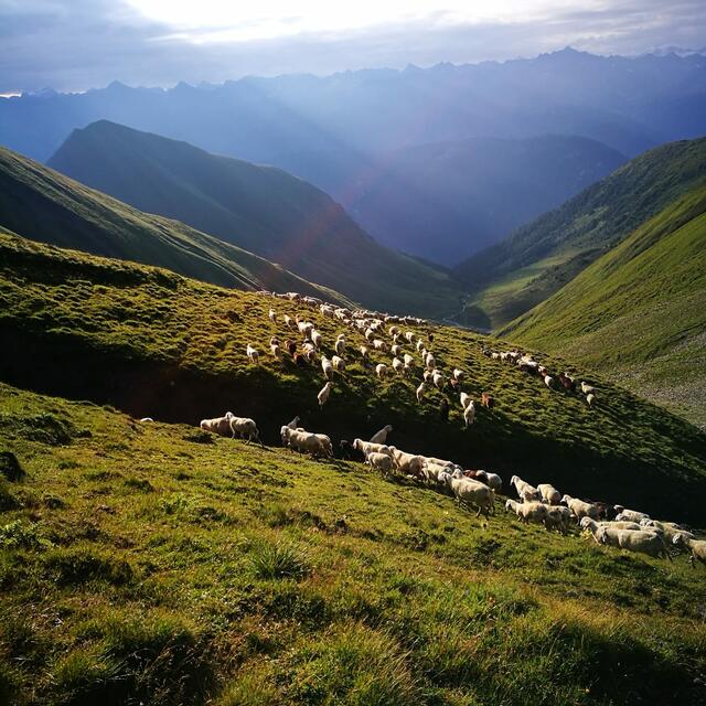 Foto: Gerhard Köhle