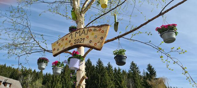 Bunt geschmückt steht sie da, die zart beblätterte Birke, die heuer als "Ersatzmaibaum" im Wanderdorf Soboth aufgestellt ist. | Foto: Hubert Koller