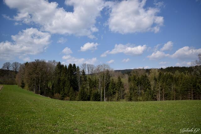 Herrliche Landschaft  | Foto: Gabriele P.