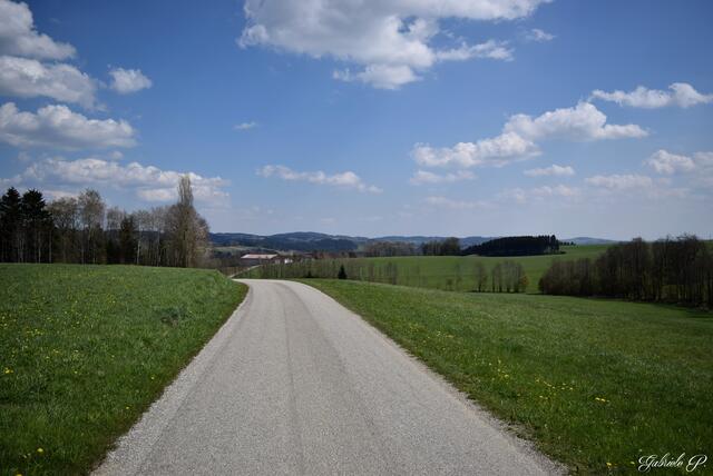 Güterweg schön und ruhig  | Foto: Gabriele P. 