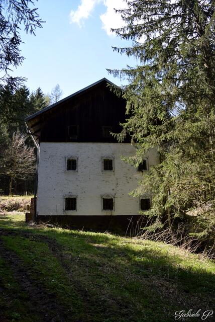 Lost Place / altes Sägewerk  | Foto: Gabriele P.