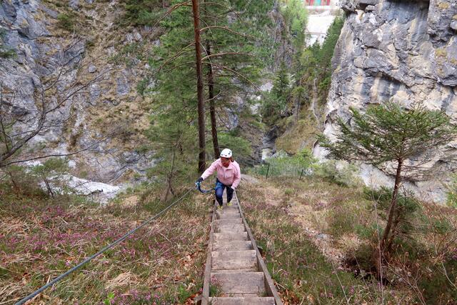 hier oben blüht es überall und der Blick nach unten ist einfach so schön