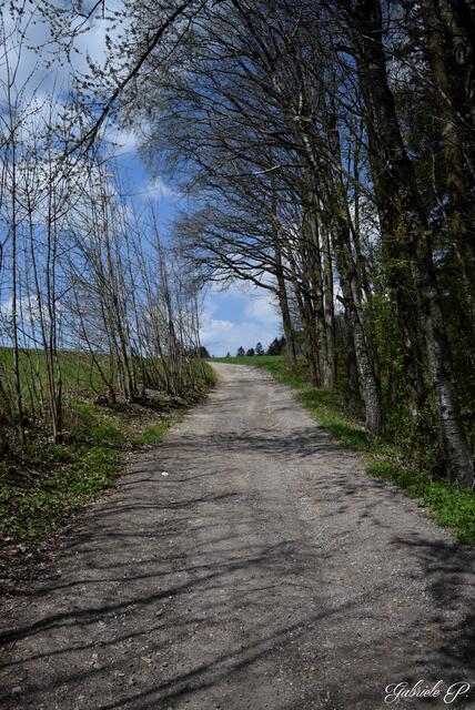 Schöne Wege  | Foto: Gabriele P.