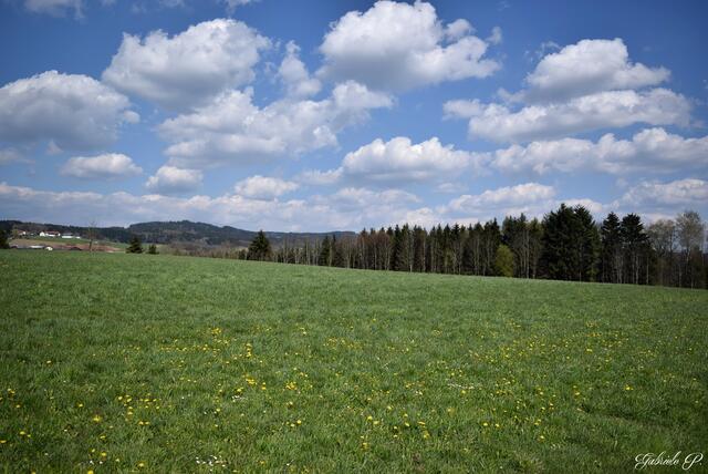 Blick in das schöne Innviertel  | Foto: Gabriele P. 