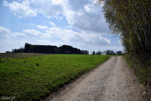 Natur pur | Foto: Gabriele P.