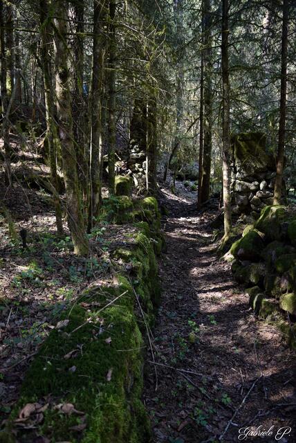 Zeichen einer lang vergangenen Zeit  | Foto: Gabriele P.