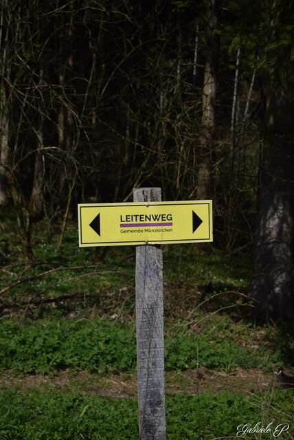Gut Beschildert Wanderweg  | Foto: Gabriele P.