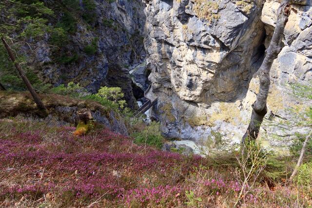 Blick nach unten in die Klamm