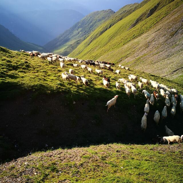Foto: Gerhard Köhle