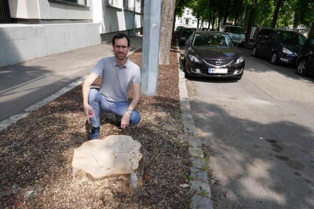 Andreas Fritsch setzt sich mit seiner Fraktion gegen Baumfällungen ein. | Foto: Grüne 11