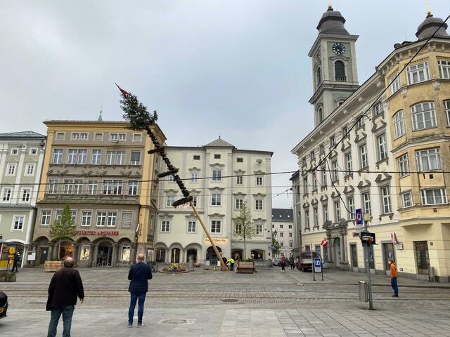 Hier wird der Linzer Maibaum abmontiert. | Foto: Foto: BRS/Kargel
