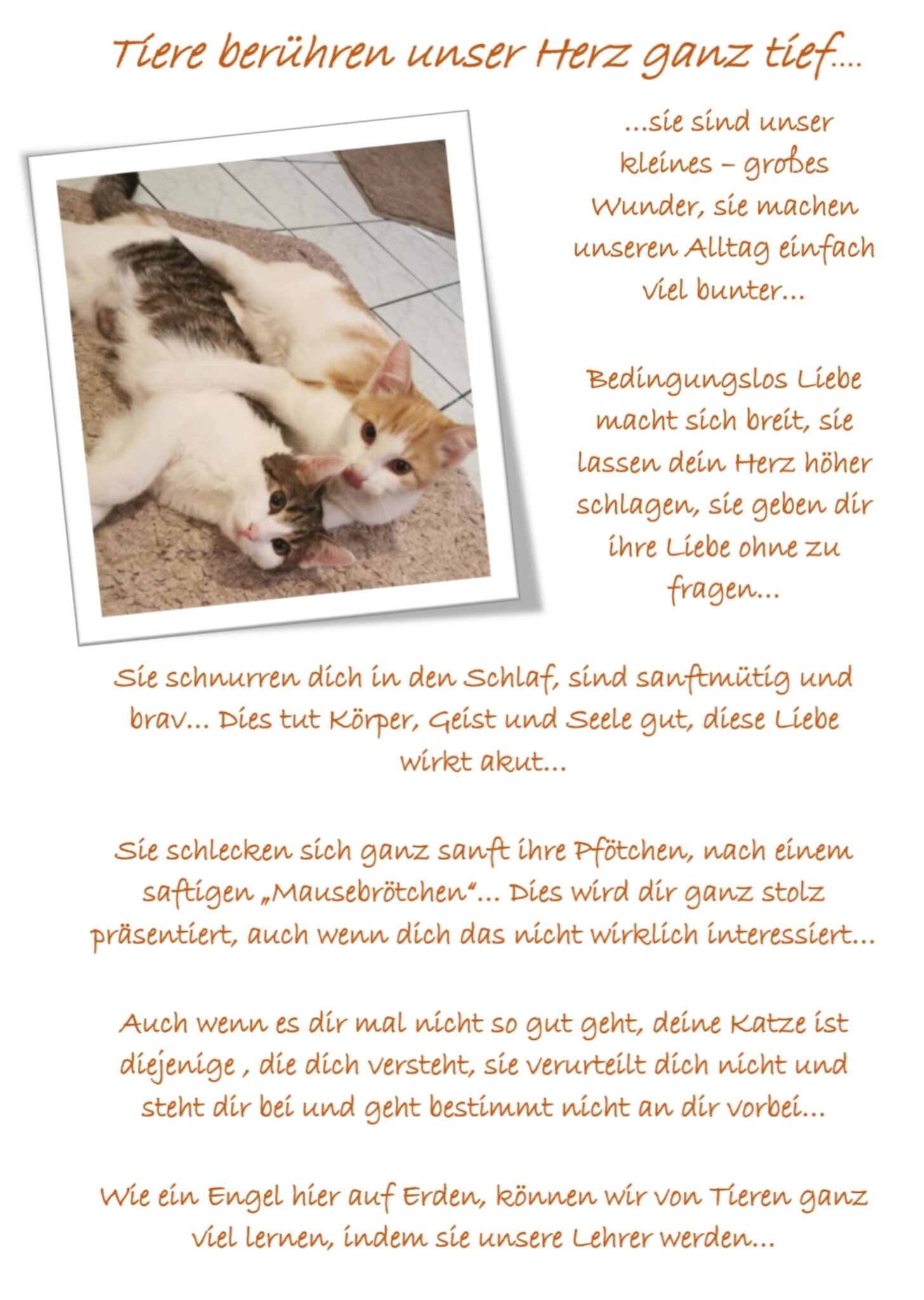 Gedicht Tiere berühren unser Herz Deutschlandsberg