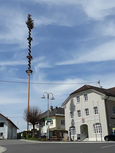 Maibaum 2021 | Foto: Gemeinde Niederkappel