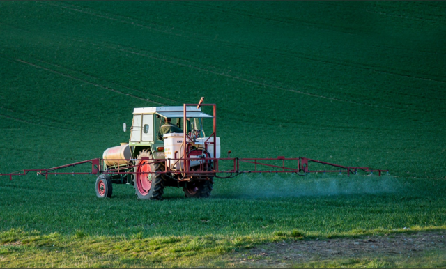 Landwirte sehen den Glyphosat-Einsatz differenziert: "Makellose, ungespritzte Ware zu Billigpreisen ist unmöglich!"