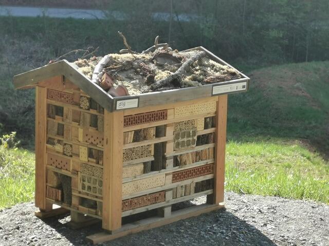 Das Hotel mit dem Grundriss einer Europalette musste mit Hubstapler zum Aufstellungsort gebracht werden