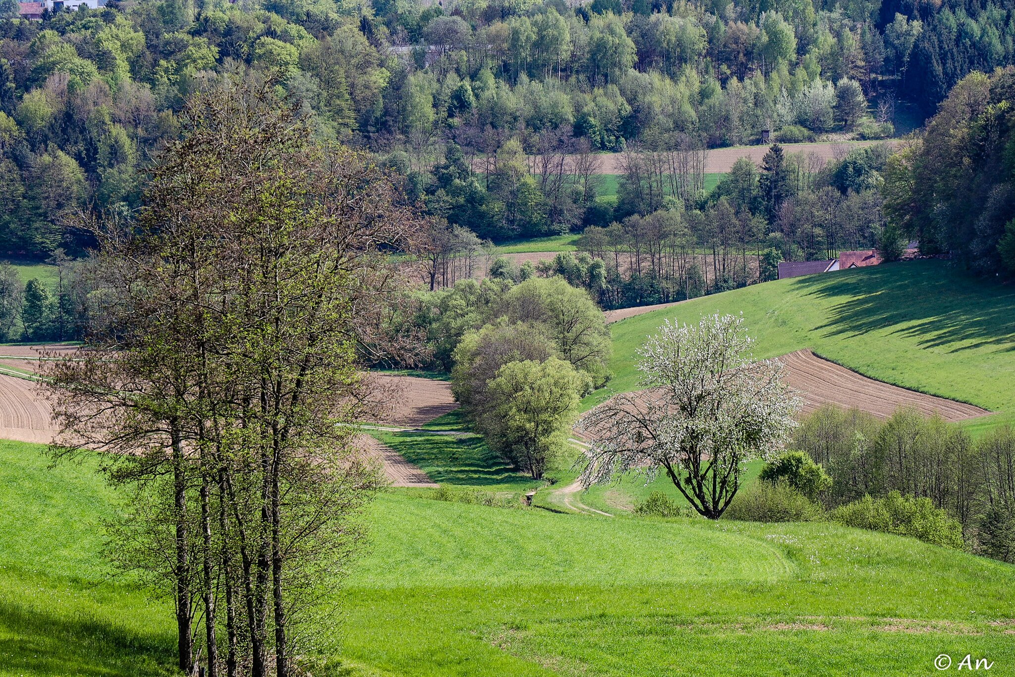 Wie Herrlich Leuchtet Mir Die Natur www.meinbezirk.at