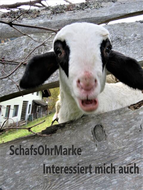 Foto: Susanne Rasser