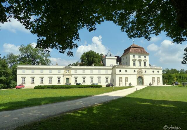 Die Vorfreude ist groß, dass heuer im Schloss Ernstbrunn die Türen für das Kammermusikfestival geöffnet werden können.