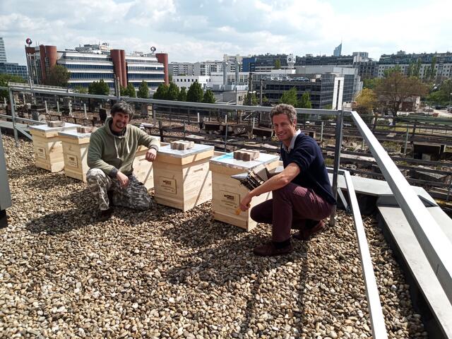 Die Behausungen der Bienen wurden auf dem Dach der MyPlace-Filiale in der Heiligenstädter Straße 62  aufgestellt. | Foto: MyPlace Self Storage