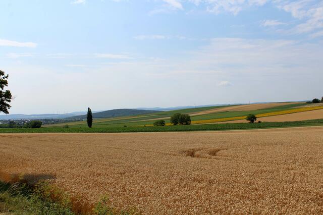 Hornstein, Neufeld an der Leitha, Steinbrunn, Wimpassing an der Leitha und Zillingtal starten das Projekt „KLAR! Beim Leithaberg“