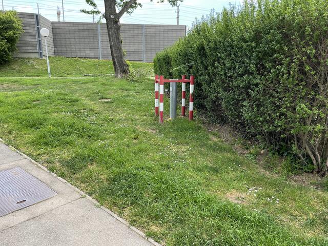 Auf dieser Wiese verrichten Hunde gerne ihr Geschäft.  | Foto: Brandl