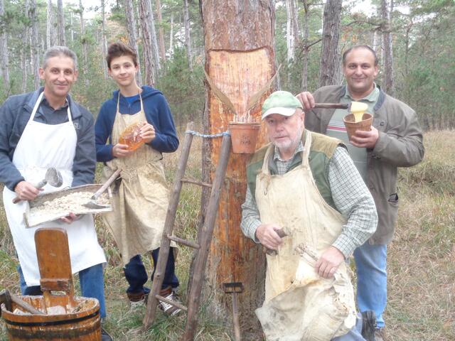 Projektleiter Ernst Schagl, Jungpecher Lukas, Pecher Gerhold Wöhrer und Mitgründer Gerhard Schagl.
| Foto: Foto: VV Hölles/Pecherpfad