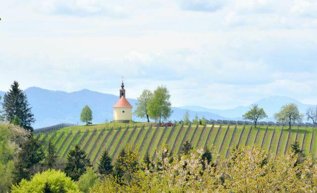 Blick auf die wunderbare Theresienkapelle am Demmerkogel: Die Südsteiermark gilt als besonders beliebte Wohn- und Urlaubsregion.  | Foto: www.rolf-Majcen.com