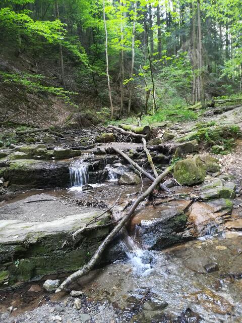 Der Ausgagspunkt für die Wander-Idee: Die Heiligengeist-Klamm