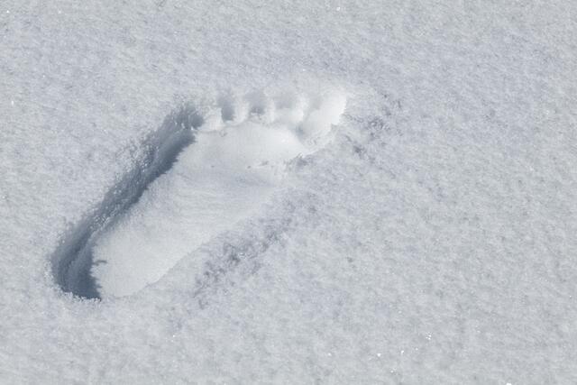 Am besten vermittelt Sintija Federa ihr Tun, mit einem Fußabdruck im Schnee, ihre Visitenkarte sozusagen. | Foto: Ronny Katsch