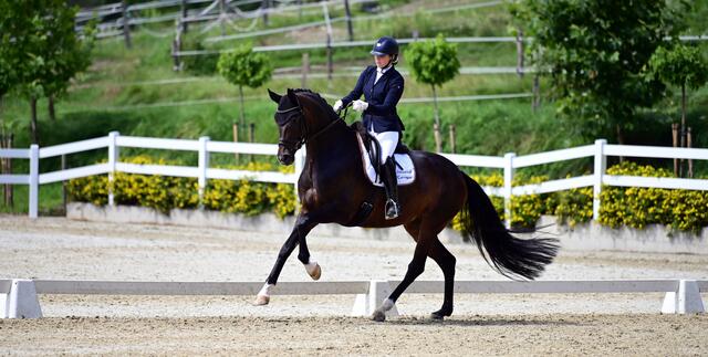 Auf den 2. Platz in der FEI Intermediaire II mit Dimanche Royale ist Kerstin Kronaus besonders stolz. | Foto: Horsic Photography