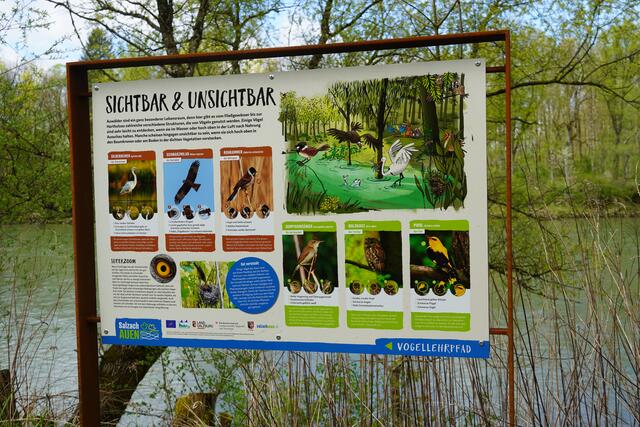 Foto: Gertraud Kleemayr