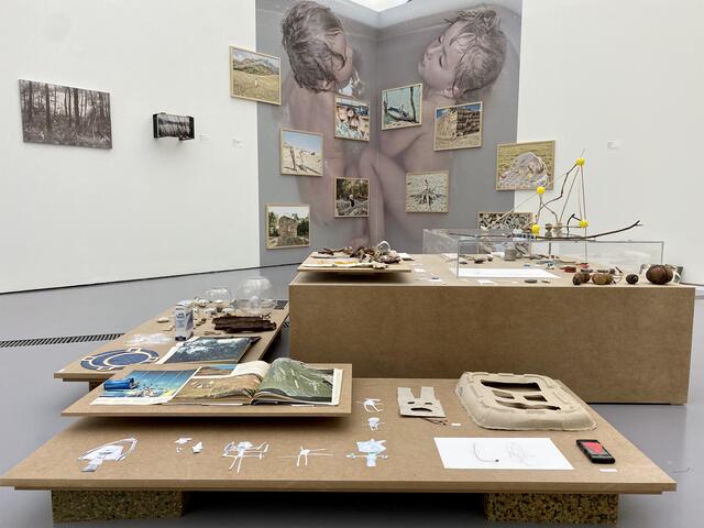 Installation von Katharina Lackner. | Foto: BRS/Gschwandtner