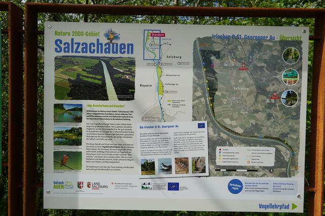 Die Renaturierung der Salzachauen ist in einigen Bereichen schon weit fortgeschritten. | Foto: Gertraud Kleemayr