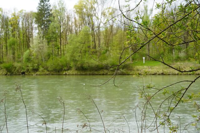 Foto: Gertraud Kleemayr