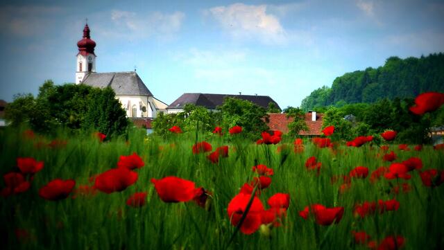 Der aktuelle Wifo-Lebenssituationsindex beleuchtet für die Regionalmedien Austria (RMA) die Lebensumstände auf kleinräumiger Ebene in Österreichs Gemeinden, und zwar unmittelbar vor Ausbruch der Covid-19-Pandemie im Frühjahr 2020. | Foto: Pixabay