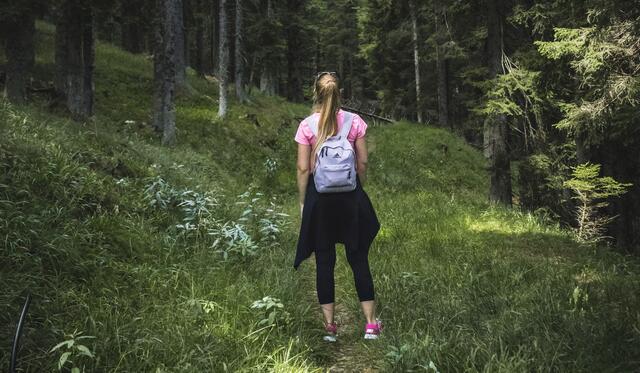 Spaziergänge in der Natur liegen hoch im Kurs bei Österreichs Singles.