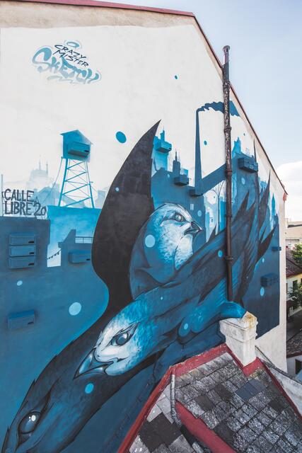 Diese Fassade wurde im Rahmen des Streetart-Festivals "Calle Libre" von dem Künstler Crazy Mister Sketch kunstvoll bemalt. | Foto: Jolly Schwarz